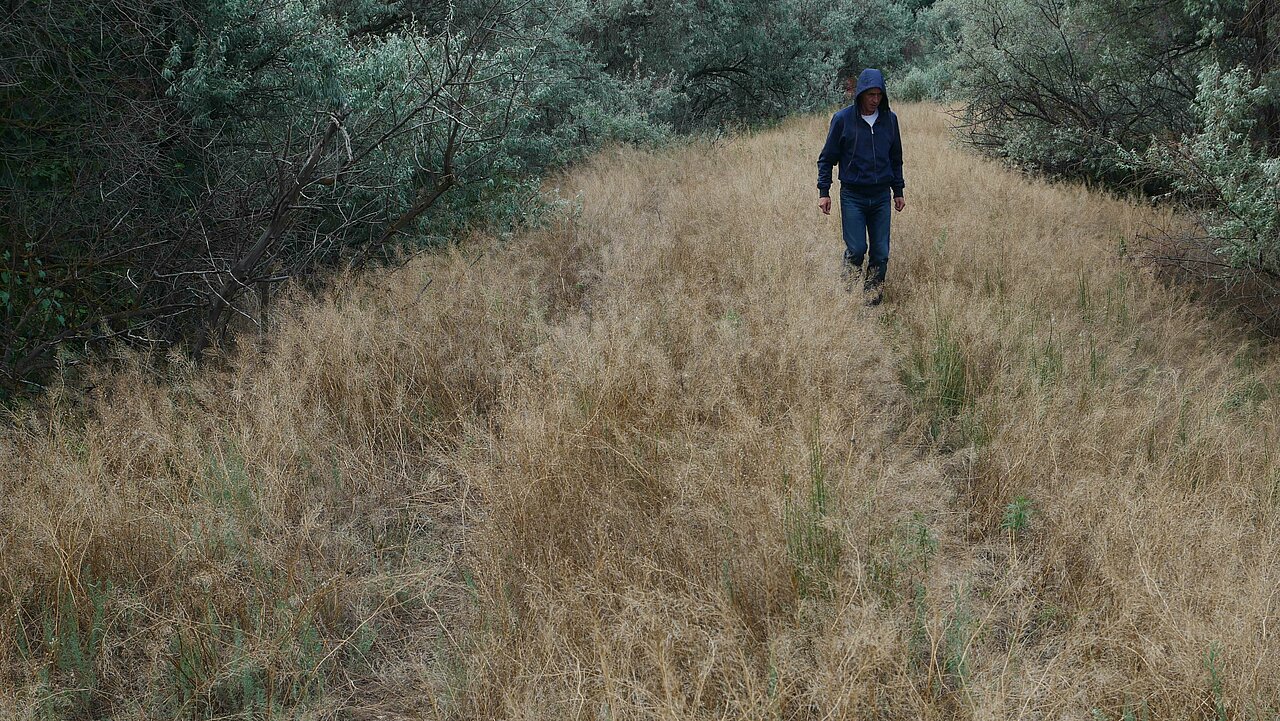 Sylvain Prunenec walking in the fields