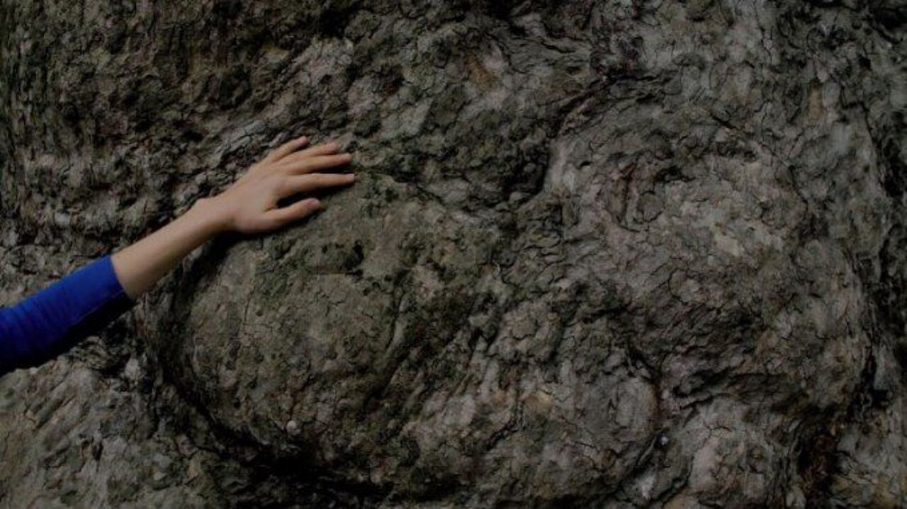 Hand of a dancer touching a rock.